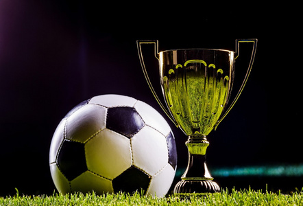 此前类似案 此前类似案