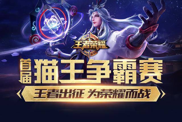 中期运营